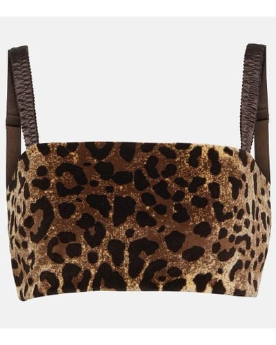 Dolce & Gabbana Leopard-print Velvet Crop Top - Brown