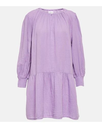 Velvet Viviana Cotton Mini Dress - Purple