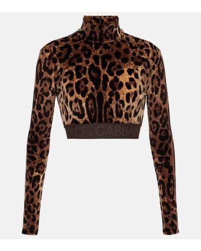 Dolce & Gabbana Jacquard Leopard-print Cropped Top - Brown