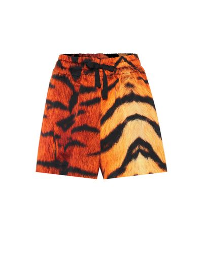 Dries Van Noten Tiger-print Drawstring Shorts - Orange