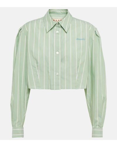 Marni Camisa cropped de algodon a rayas - Verde