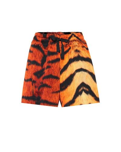 Dries Van Noten Shorts con estampado de tigre - Naranja