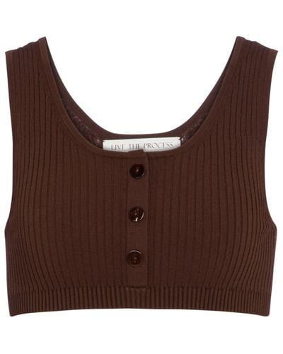 Live The Process Henley Ribbed-knit Bralette - Brown