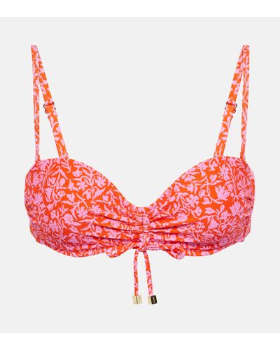 Heidi Klein Limpopo Floral Ruched Bikini Top - Red