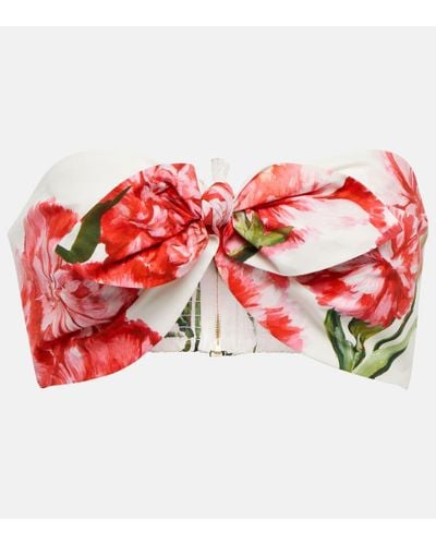Dolce & Gabbana Trägerloses Bustier Aus Baumwollpopeline Mit Blumenprint - Weiß