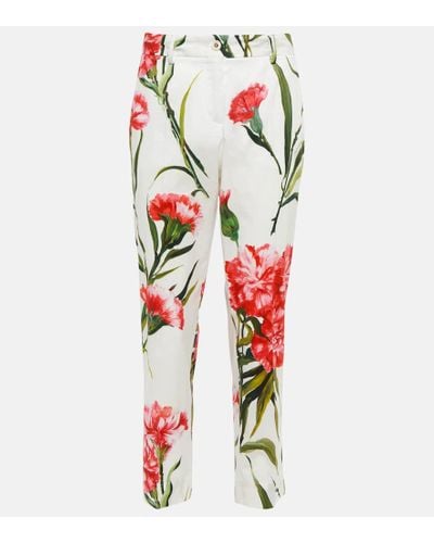 Dolce & Gabbana Floral Cotton-blend Straight Pants - Red