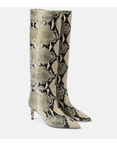 Paris Texas Stiletto 60 Snake-effect Leather Knee-high Boots - Green