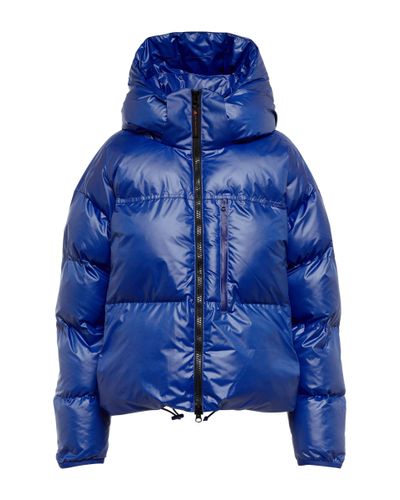 adidas By Stella McCartney Quilted Cropped Puffer Jacket - Blue