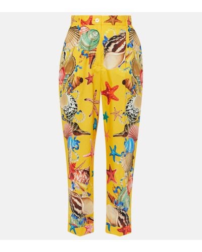 Dolce & Gabbana Capri Printed High-rise Cotton Tapered Trousers - Yellow