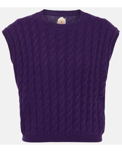 Jardin Des Orangers Cable-knit Cashmere Vest - Purple