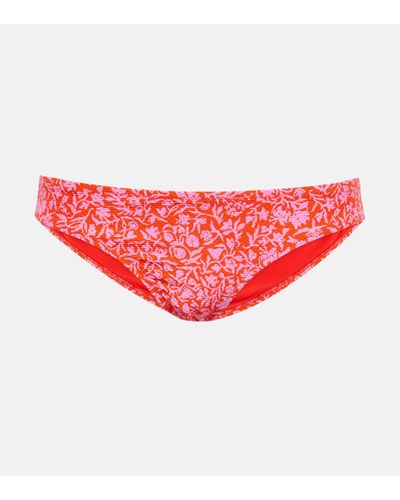 Heidi Klein Limpopo Floral Bikini Bottoms - Red