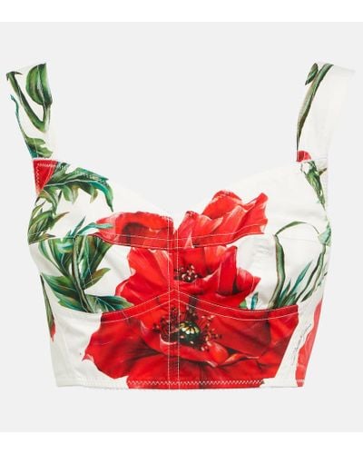 Dolce & Gabbana Floral Cotton Crop Top - Red