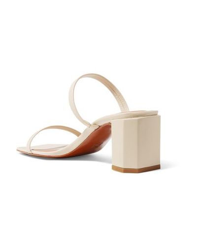 by far tanya mule