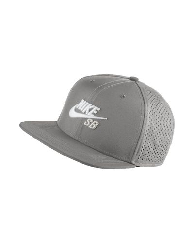 nike sb performance trucker hat