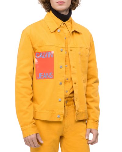 calvin klein yellow jacket