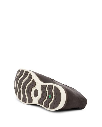 franklin park brogue chukka