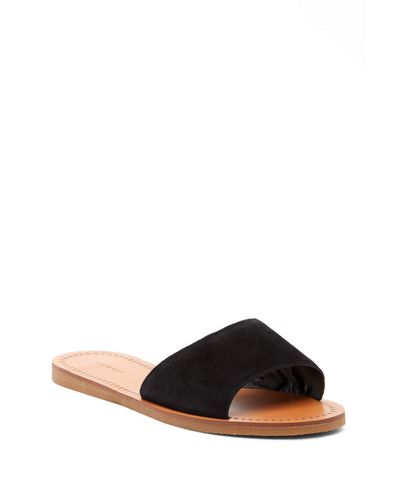 Tony Bianco Slides 2025