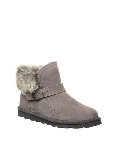koko bearpaw