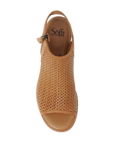 Sofft natesa sale perforated sandal