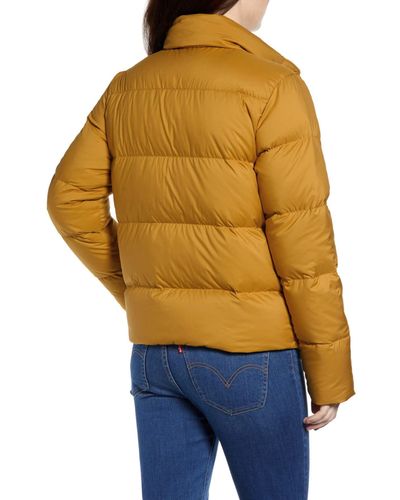 patagonia 700 fill jacket