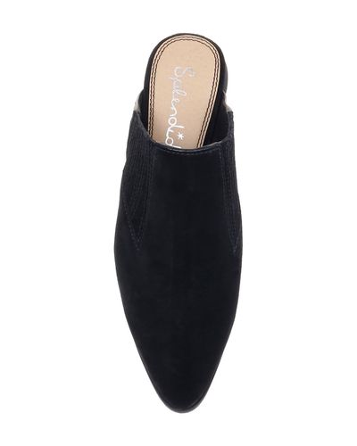 splendid hailee mules