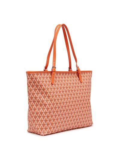 lancaster goyard