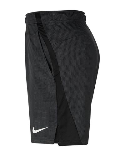 nike hybrid 2.0 mesh training shorts 