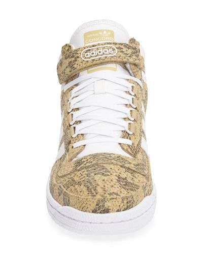 adidas concord snakeskin