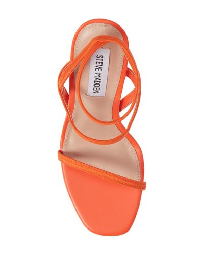 nectur heel steve madden