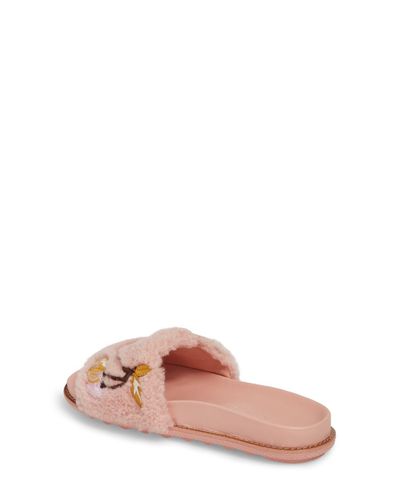 slide with coach patch