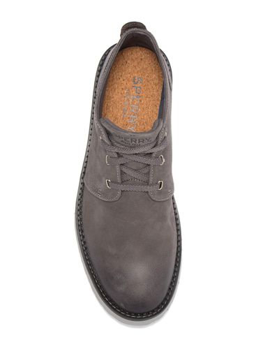 sperry camden oxford chukka