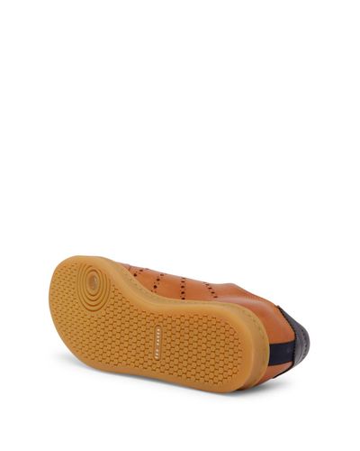 ted baker orlee sneaker