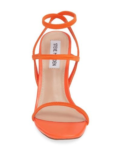 nectur heel steve madden