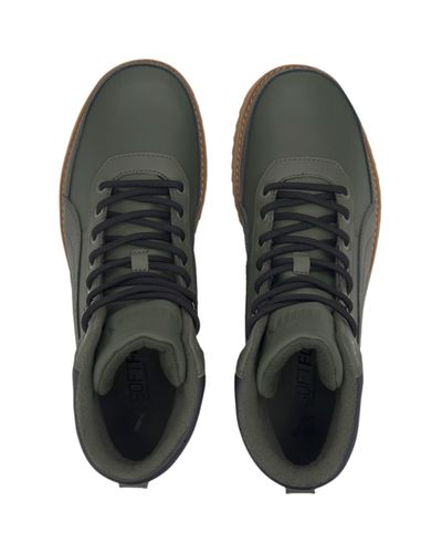 desierto v2 puma