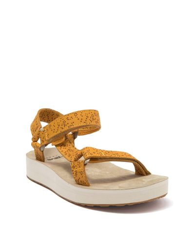 teva midform universal brown