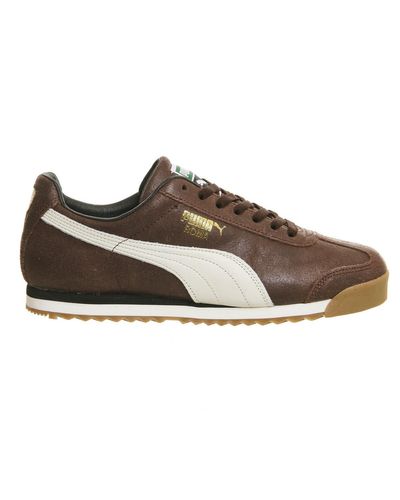 PUMA Suede Roma in Brown (White) for 