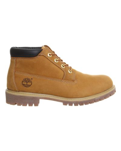timberland nelson chukka