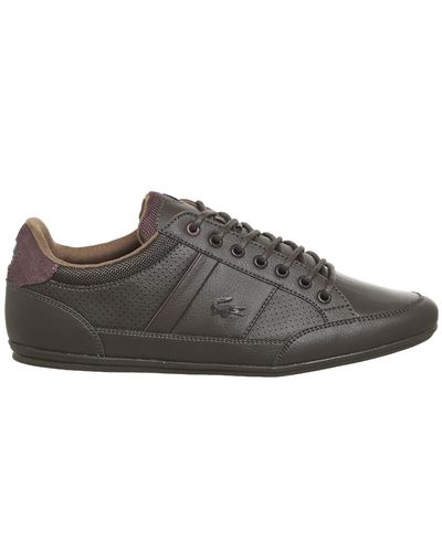 lacoste black & brown chaymon trainers