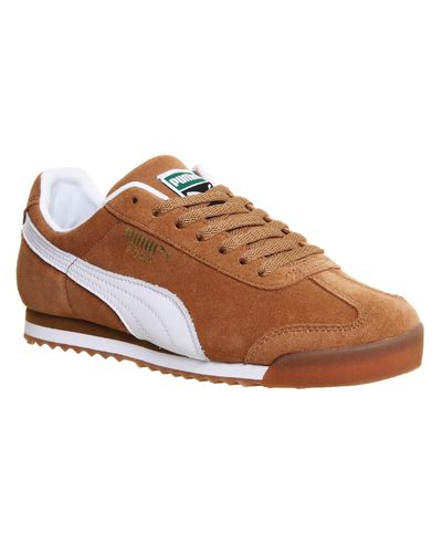brown suede puma roma
