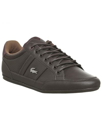 Lacoste Leather Chaymon Trainers in Brown for Men - Lyst