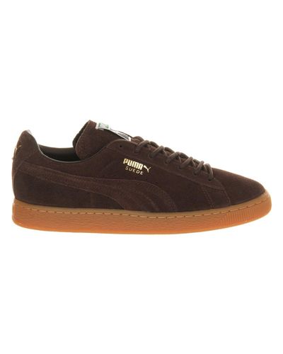 brown puma uk