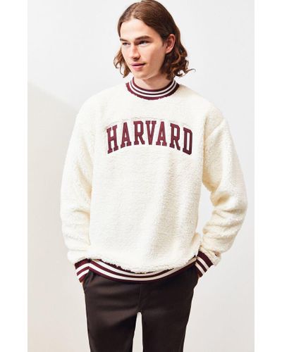 white harvard sweater