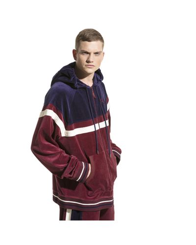 calabasas sweatpants