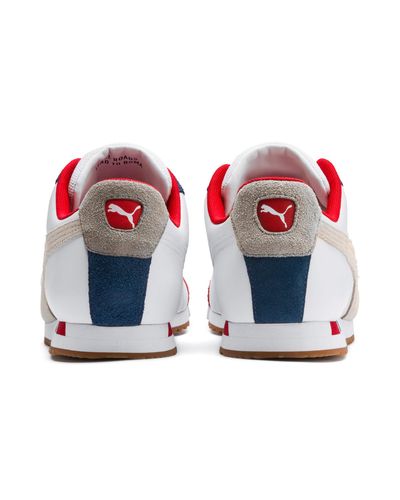 chivas roma sneakers