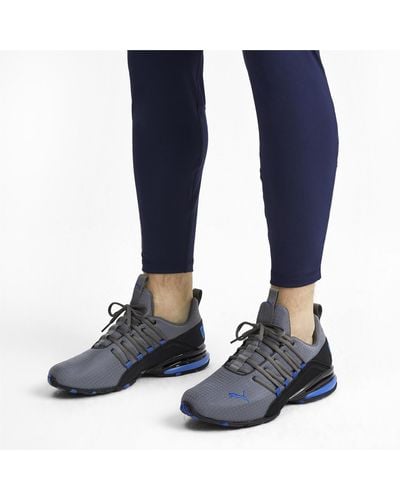 Unmoral Guinness Eintauchen puma 