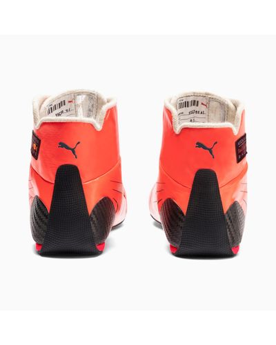 تحصين مصنع الجعة جدول max verstappen schoenen puma - rise-association.com