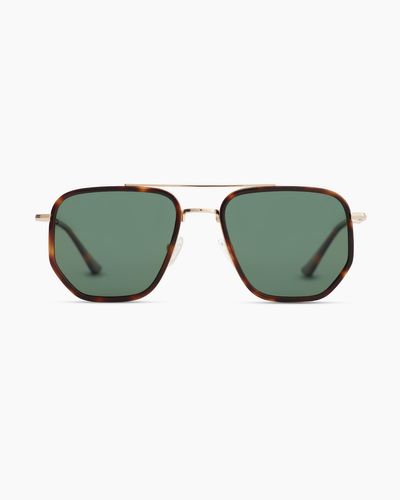 Quince Leon Polarized Stainless Steel Sunglasses, Cellulose Acetate - Green