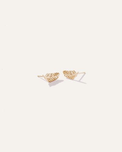 Quince 14K Feather Studs - Natural