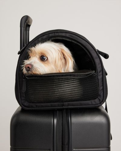 Quince Pet Travel Carrier, Neoprene - Black