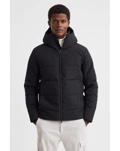 Scandinavian Edition Hooded Puffer Jacket - Black
